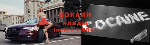 мдпв Карпинск