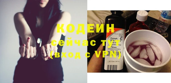 стаф Каменногорск