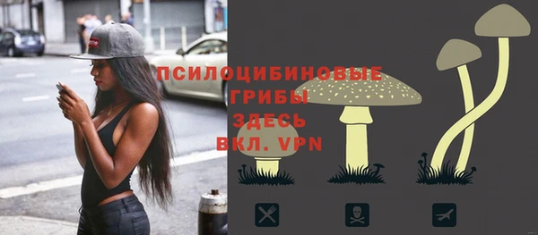 гидра Касимов