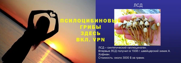 мдпв Карпинск