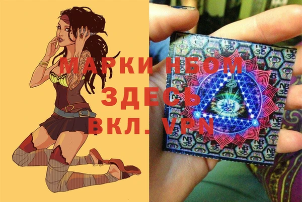 мдпв Карпинск