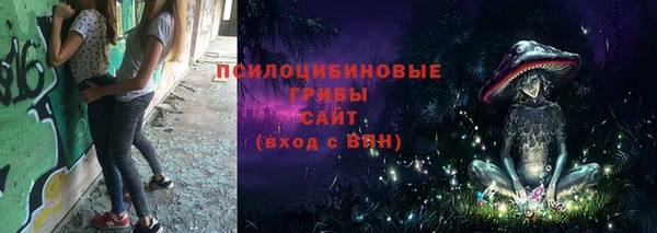 мдпв Карталы